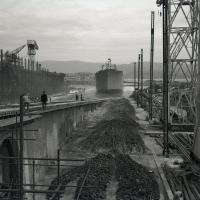 ailes de chauve souris1Fi_00038.jpg